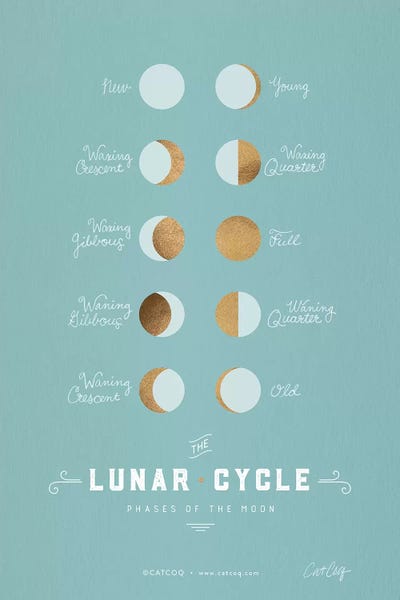 Robins Egg - Lunar Phases by Cat Coquillette multi panel art