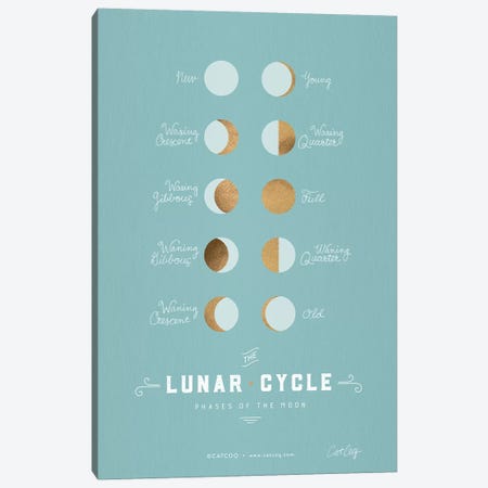 Robins Egg - Lunar Phases Canvas Print #CCE484} by Cat Coquillette Canvas Wall Art