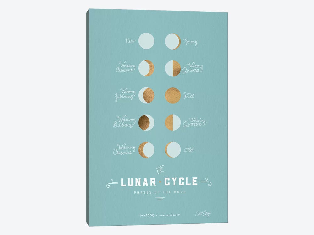 Robins Egg - Lunar Phases by Cat Coquillette 1-piece Canvas Print