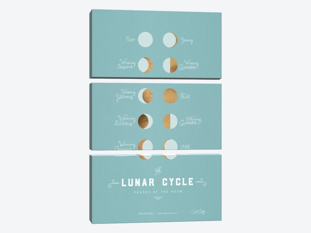 Robins Egg - Lunar Phases by Cat Coquillette 3-piece Canvas Print