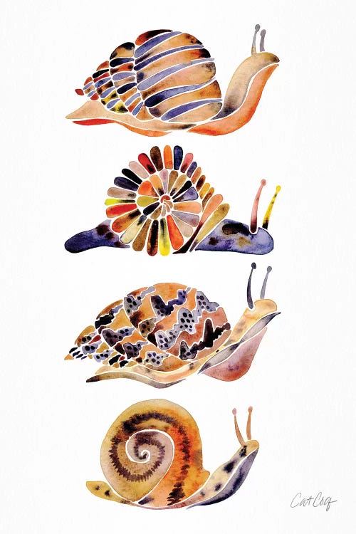Snail Collection