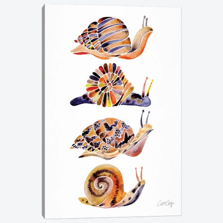 Snail Collection Canvas Print #CCE486} by Cat Coquillette Canvas Artwork