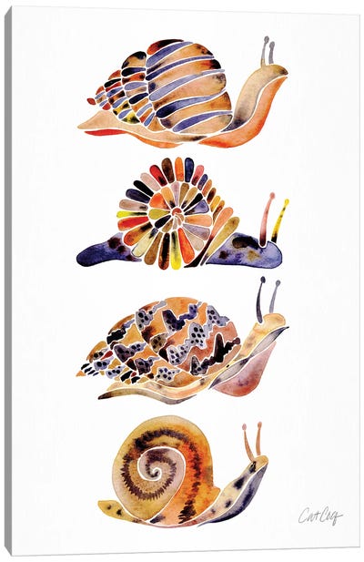 Snail Collection Canvas Art Print - Snail Art