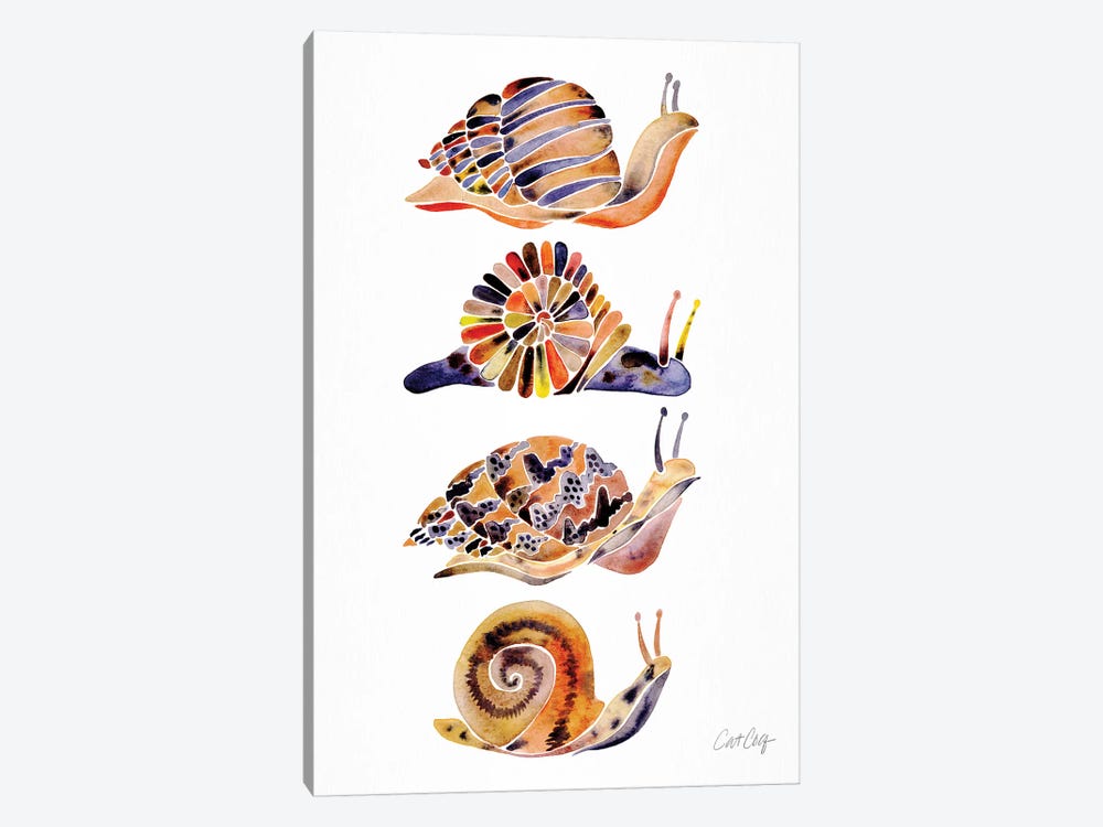 Snail Collection by Cat Coquillette 1-piece Canvas Print