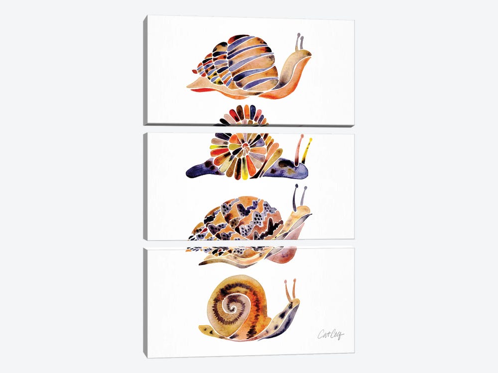Snail Collection by Cat Coquillette 3-piece Canvas Print