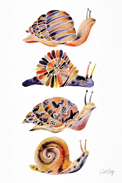 Snails: Snail Collection by Cat Coquillette