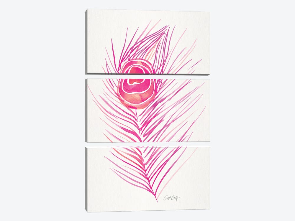 Peacock Feather Pink by Cat Coquillette 3-piece Canvas Artwork