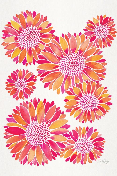 Sunflower Blooms Pink