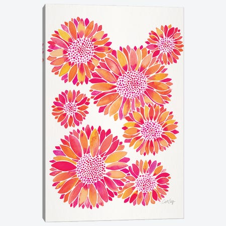 Sunflower Blooms Pink Canvas Print #CCE511} by Cat Coquillette Art Print