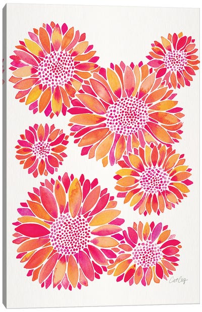 Sunflower Blooms Pink Canvas Art Print - Cat Coquillette