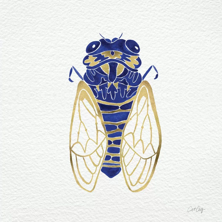 Cicada Gold Navy by Cat Coquillette wall art