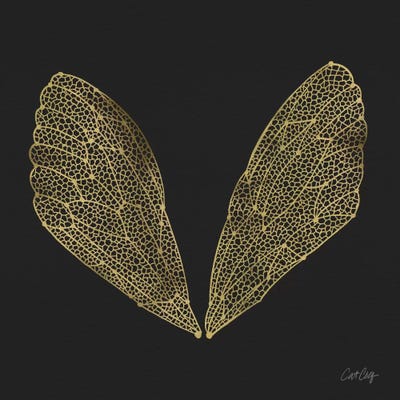 Cicada Wings Black Gold by Cat Coquillette canvas print