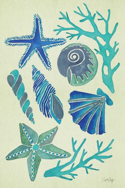 Blue Seashells by Cat Coquillette framed canvas print