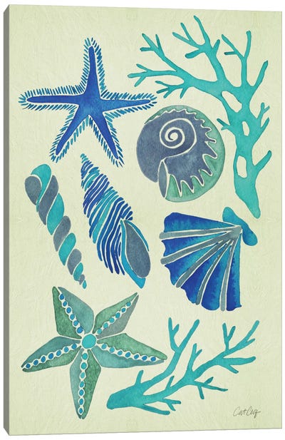 Blue Seashells Canvas Art Print - Caribbean Blue & Coral