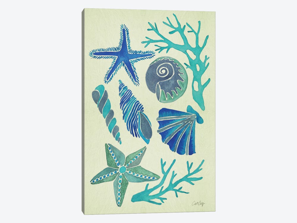 Blue Seashells by Cat Coquillette 1-piece Canvas Print