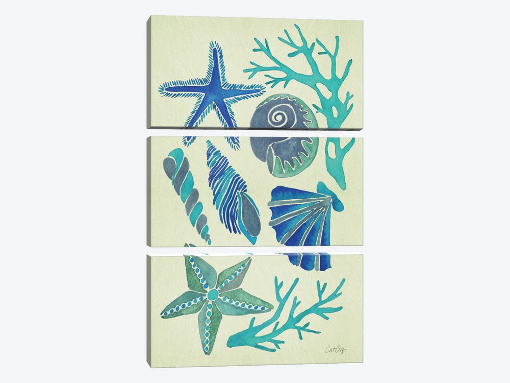 Blue Seashells by Cat Coquillette 3-piece Art Print