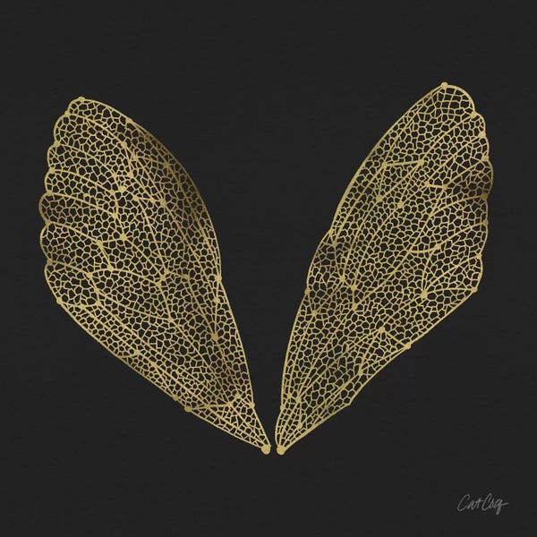 Cicadas: Cicada Wings Black Gold by Cat Coquillette