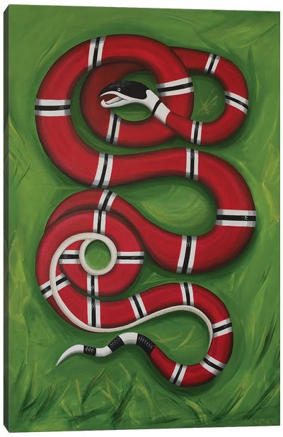 Snake on the Grass Canvas Art Print - CeCe Guidi