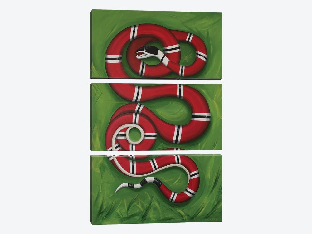 Snake on the Grass by CeCe Guidi 3-piece Canvas Art