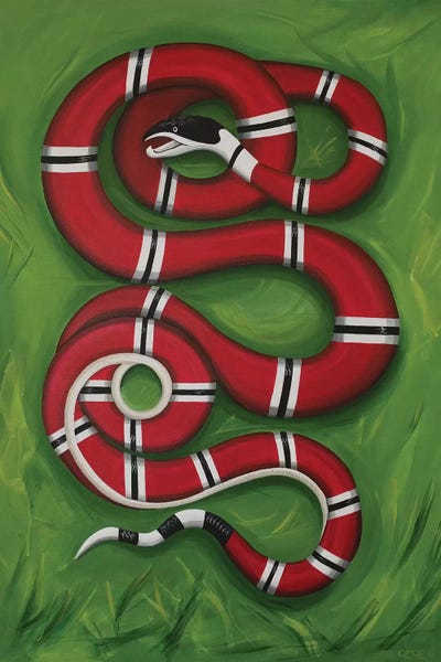 Snakes: Snake on the Grass by CeCe Guidi