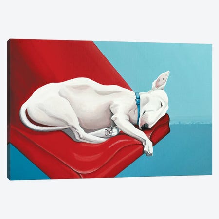 Sleeping Bull Terrier Canvas Print #CCG33} by CeCe Guidi Art Print