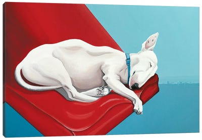 Sleeping Bull Terrier Canvas Art Print - Bull Terrier Art