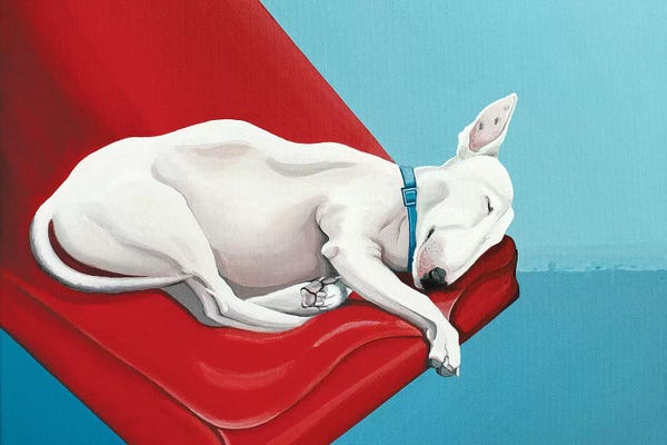 Sleeping & Napping: Sleeping Bull Terrier by CeCe Guidi
