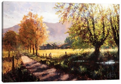 French Alps In Summer Canvas Art Print - Trail, Path & Road Art