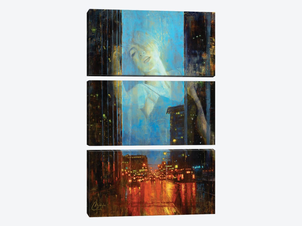 Cost Of Finding Yourself, Revised by Christopher Clark 3-piece Canvas Artwork