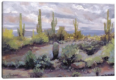 Desert And Rain I Canvas Art Print - Cactus Art