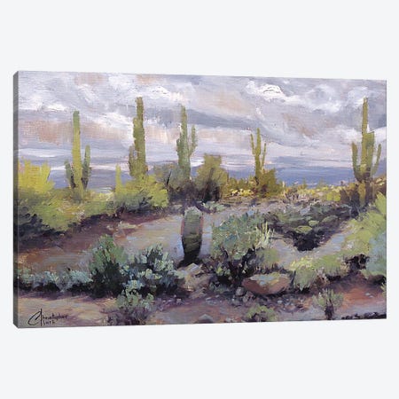 Desert And Rain I Canvas Print #CCK15} by Christopher Clark Canvas Art