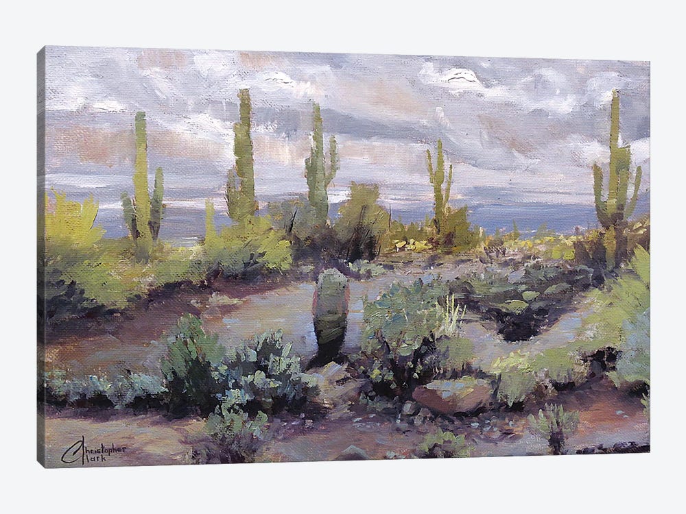 Desert And Rain I by Christopher Clark 1-piece Canvas Artwork