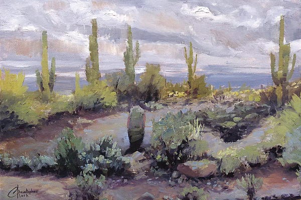 Desert: Desert And Rain I by Christopher Clark