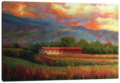 Fields Near Aosta, Italy Canvas Art Print - Christopher Clark
