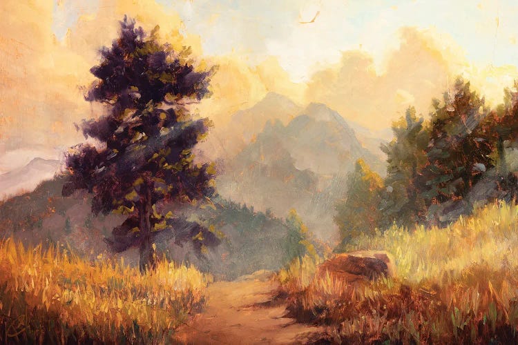 Mountain Sunlight by Christopher Clark wall art