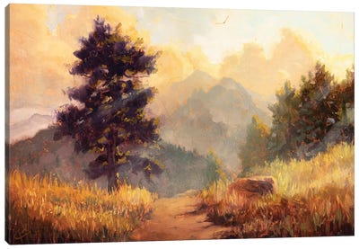 Mountain Sunlight Canvas Art Print - Mountain Sunrise & Sunset Art