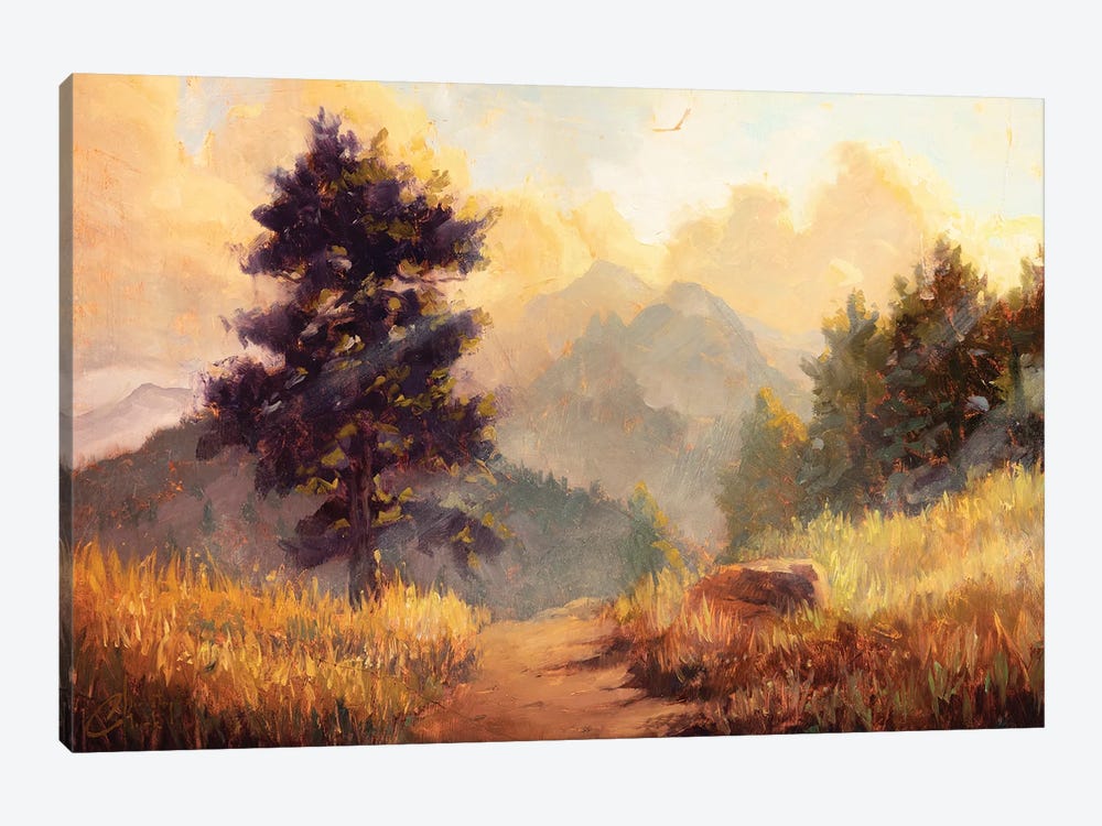 Mountain Sunlight by Christopher Clark 1-piece Canvas Art