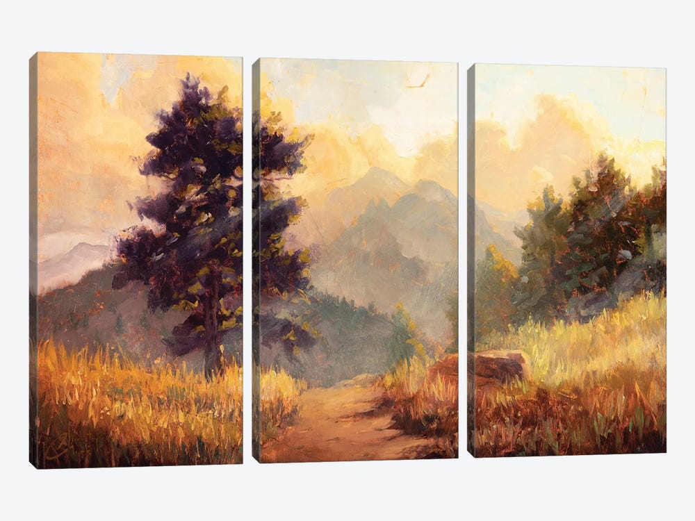 Mountain Sunlight by Christopher Clark 3-piece Canvas Artwork