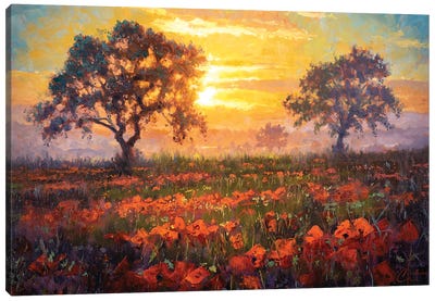 Field Of Memories Canvas Art Print - Poppy Art
