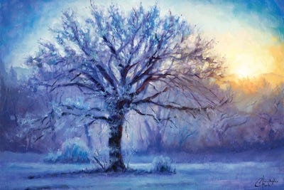 Icy Morning Light by Christopher Clark canvas print