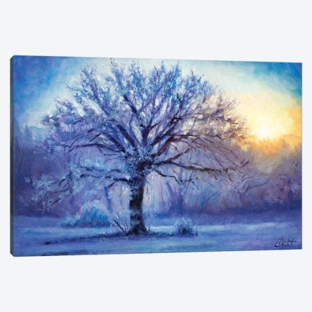 Icy Morning Light Canvas Print #CCK208} by Christopher Clark Canvas Art