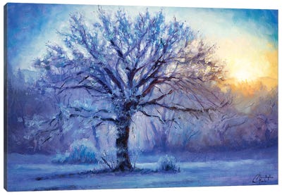 Icy Morning Light Canvas Art Print - Christopher Clark