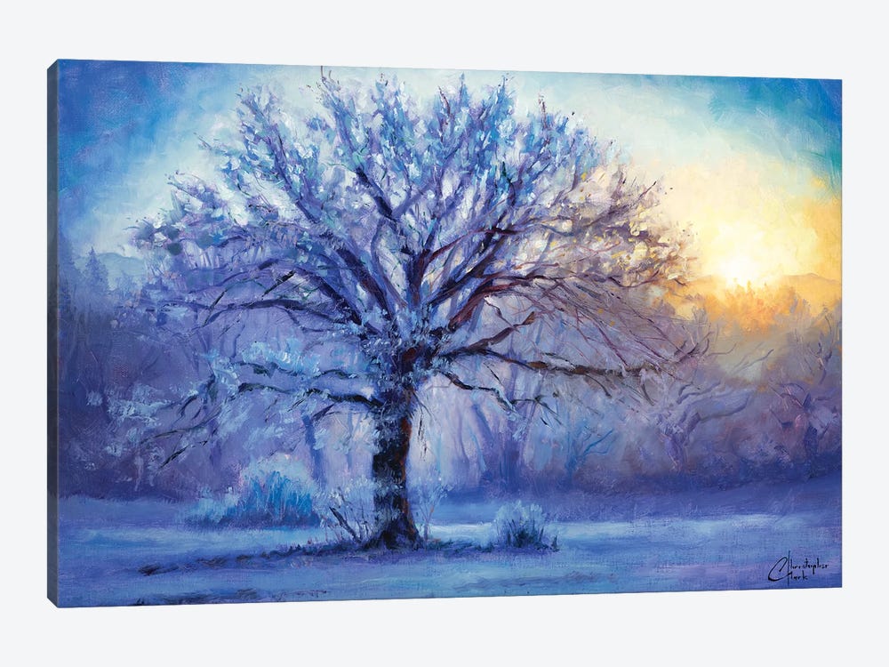 Icy Morning Light by Christopher Clark 1-piece Canvas Art