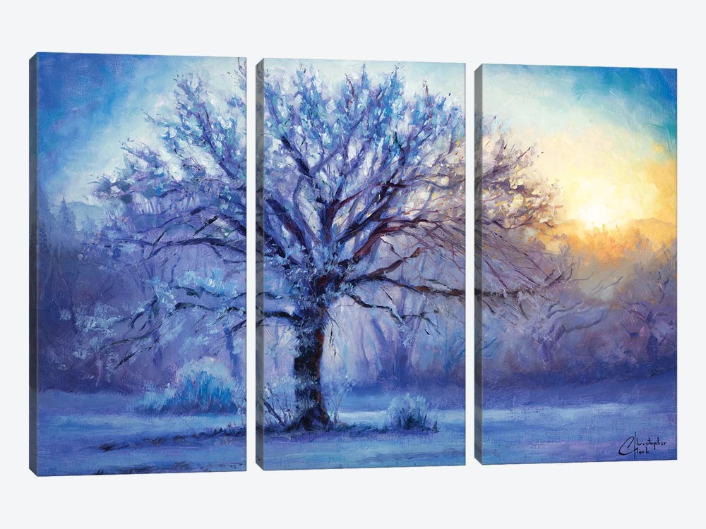 Icy Morning Light by Christopher Clark 3-piece Canvas Wall Art