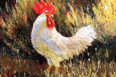 Gallo Italiano II by Christopher Clark framed wall art
