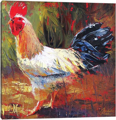 Gallo Italiano III Canvas Art Print - Chicken & Rooster Art