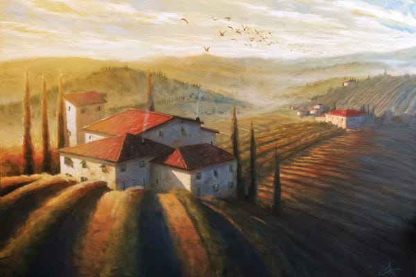 Hillsides: Lifestyle Of Tuscany II by Christopher Clark