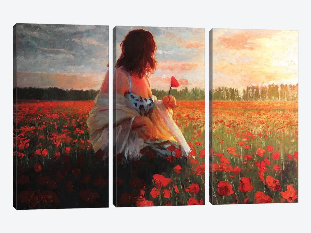 Love In A Field Of Poppies by Christopher Clark 3-piece Art Print