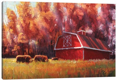 Big Red Barn In Arvada, Colorado Canvas Art Print - Colorado Art