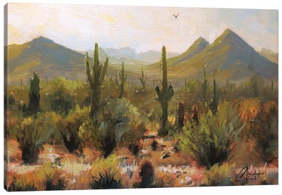 Morning At Lost Dog Wash Trail Canvas Art Print - Southwest Décor